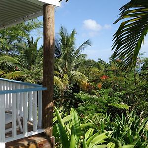 King or twin Room Garden View